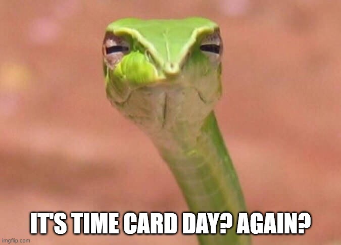 time card | IT'S TIME CARD DAY? AGAIN? | image tagged in skeptical snake | made w/ Imgflip meme maker