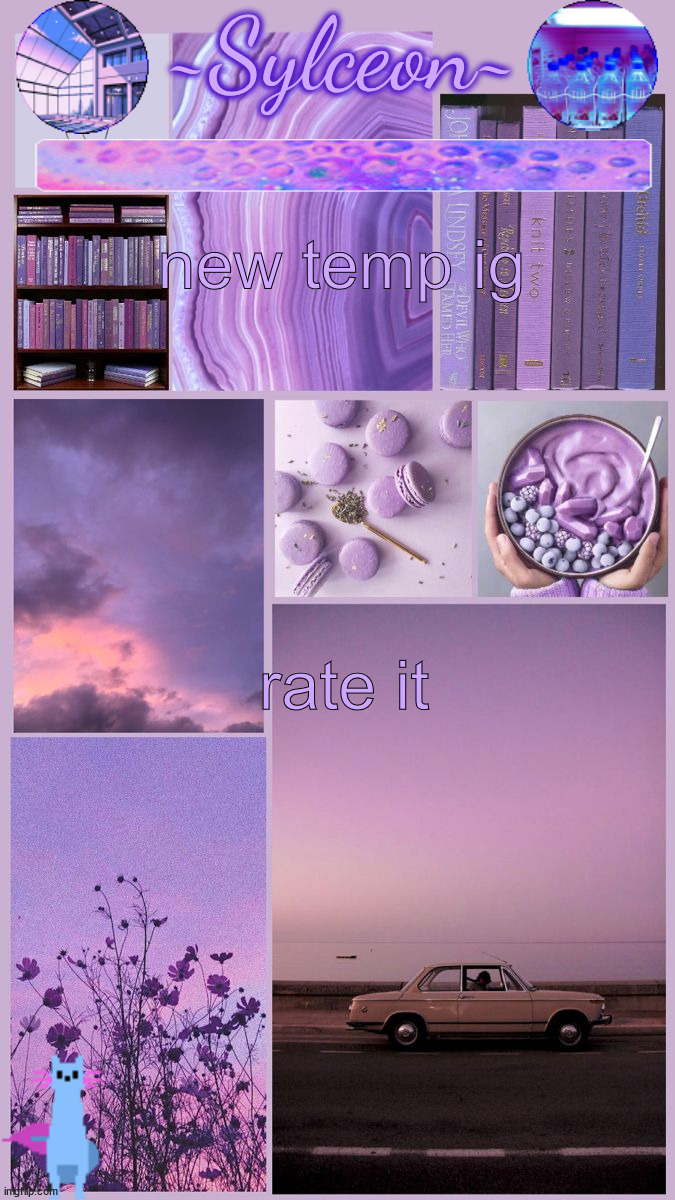 sylc's moodboard announcement | new temp ig; rate it | image tagged in sylc's moodboard announcement | made w/ Imgflip meme maker