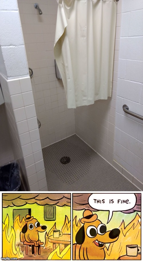 Shower curtain isn't low enough... | image tagged in memes,this is fine,shower | made w/ Imgflip meme maker