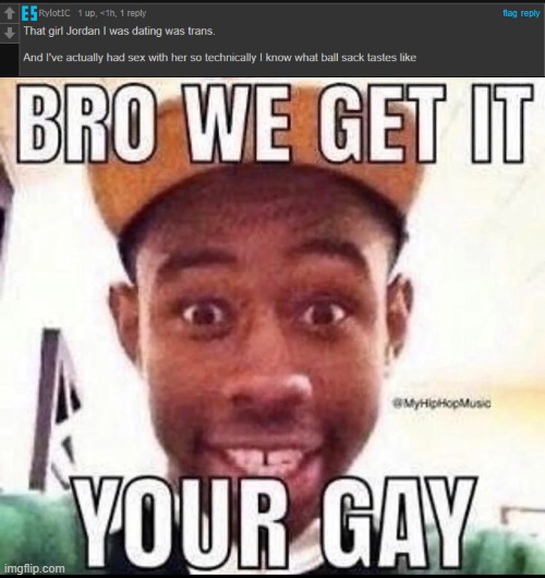 image tagged in bro we get it you're gay | made w/ Imgflip meme maker
