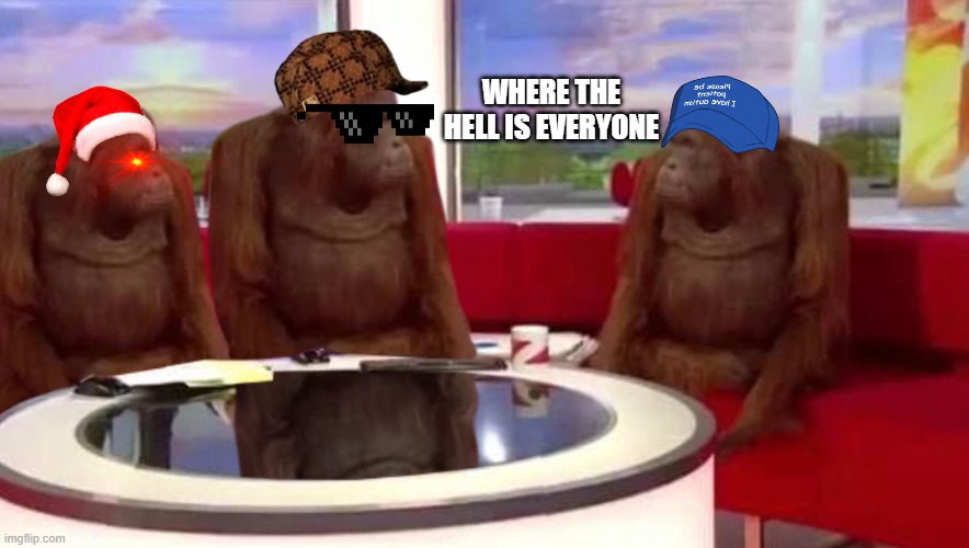 where are you guys? hell? | WHERE THE HELL IS EVERYONE | image tagged in where monkey | made w/ Imgflip meme maker