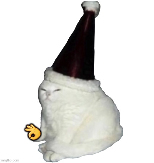 Party Hat Cat | ? | image tagged in party hat cat | made w/ Imgflip meme maker