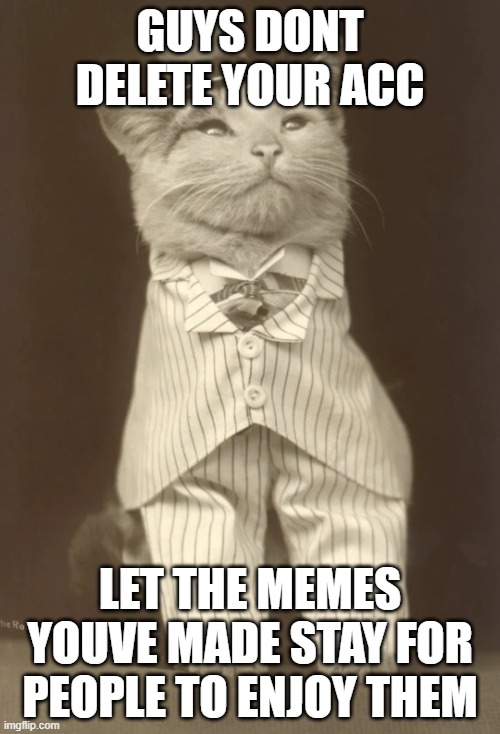 GUYS DONT DELETE YOUR ACC; LET THE MEMES YOUVE MADE STAY FOR PEOPLE TO ENJOY THEM | image tagged in cat in pinstripe | made w/ Imgflip meme maker