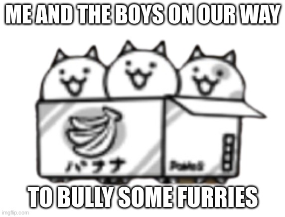 battle cats vs furries | ME AND THE BOYS ON OUR WAY; TO BULLY SOME FURRIES | image tagged in cats in a box | made w/ Imgflip meme maker