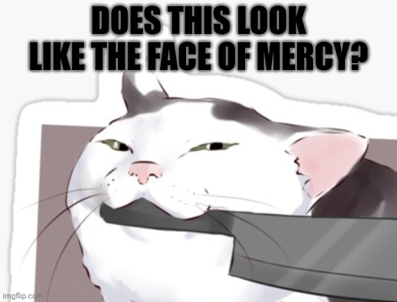 DOES THIS LOOK LIKE THE FACE OF MERCY? | made w/ Imgflip meme maker