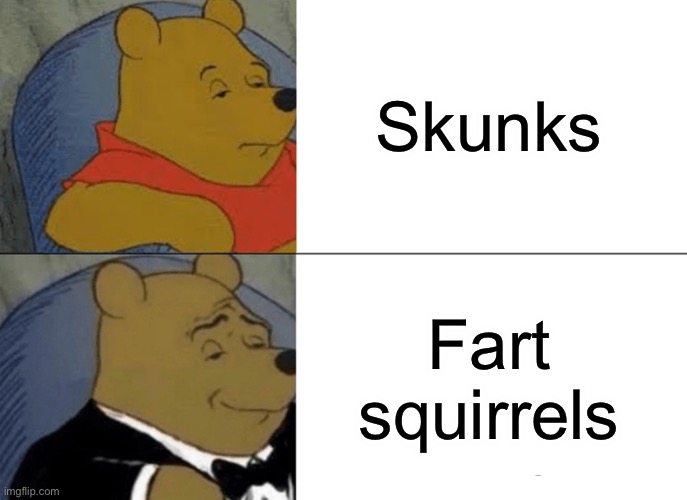 Tuxedo Winnie The Pooh Meme | Skunks Fart squirrels | image tagged in memes,tuxedo winnie the pooh | made w/ Imgflip meme maker