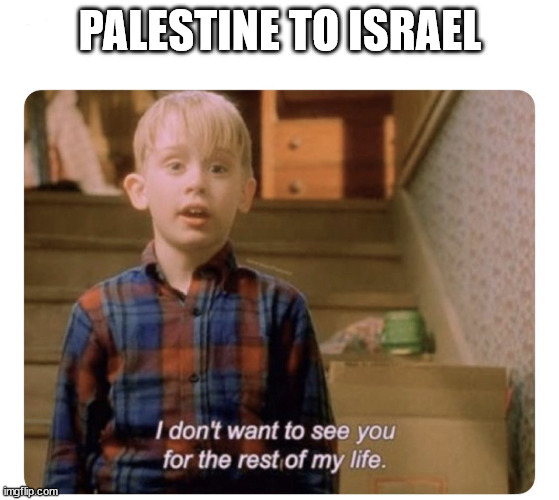 Home alone I don’t want to see you for the rest of my life | PALESTINE TO ISRAEL | image tagged in home alone i don t want to see you for the rest of my life | made w/ Imgflip meme maker