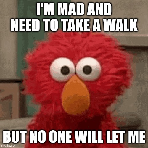 Me right now | I'M MAD AND NEED TO TAKE A WALK; BUT NO ONE WILL LET ME | image tagged in angry elmo | made w/ Imgflip meme maker