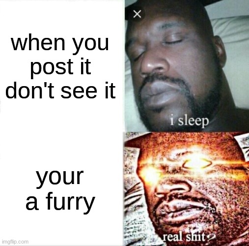 Sleeping Shaq Meme | when you post it don't see it your a furry | image tagged in memes,sleeping shaq | made w/ Imgflip meme maker