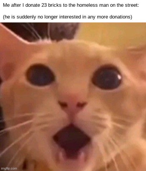 im confused. | Me after I donate 23 bricks to the homeless man on the street:

ㅤ
(he is suddenly no longer interested in any more donations) | image tagged in funny,memes,cat,silly,brick,homeless | made w/ Imgflip meme maker
