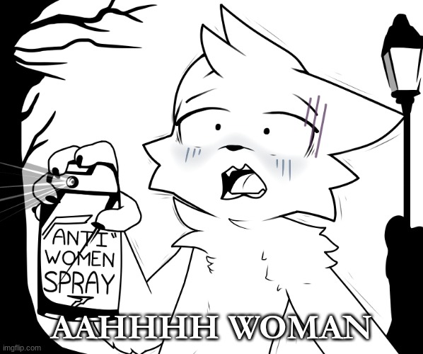 BoyKisser Anti-Women Spray | AAHHHH WOMAN | image tagged in boykisser anti-women spray | made w/ Imgflip meme maker