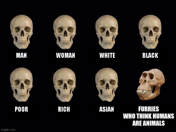 empty skulls of truth | FURRIES WHO THINK HUMANS ARE ANIMALS | image tagged in empty skulls of truth | made w/ Imgflip meme maker