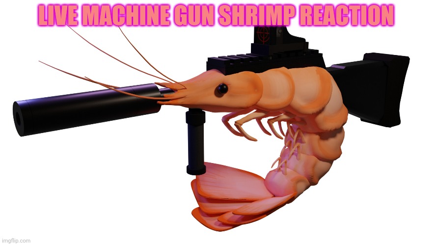 LIVE MACHINE GUN SHRIMP REACTION | made w/ Imgflip meme maker