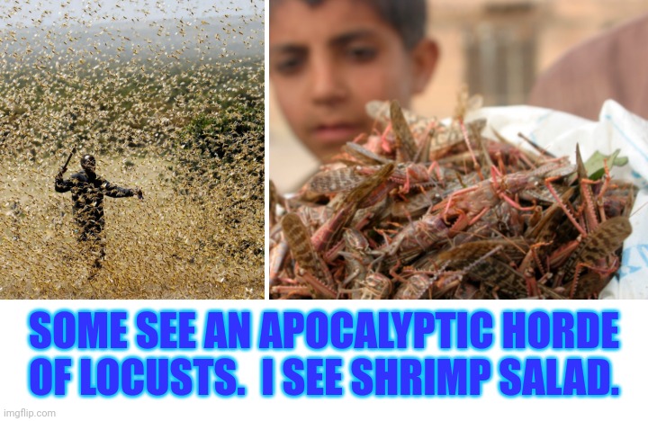 Funny | SOME SEE AN APOCALYPTIC HORDE OF LOCUSTS.  I SEE SHRIMP SALAD. | image tagged in funny | made w/ Imgflip meme maker