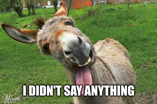 Laughing Donkey | I DIDN'T SAY ANYTHING | image tagged in laughing donkey | made w/ Imgflip meme maker