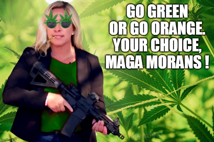 marjorie taylor greene | GO GREEN OR GO ORANGE. YOUR CHOICE, MAGA MORANS ! | image tagged in marjorie taylor greene,cannabis,maga morons,clown car republicans,georgia,weed | made w/ Imgflip meme maker