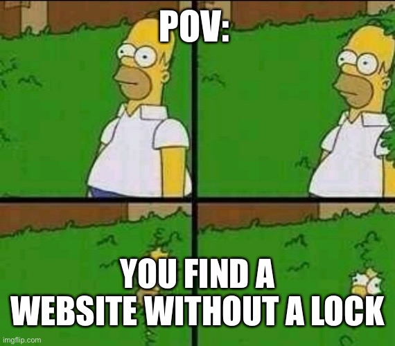 Im out | POV:; YOU FIND A WEBSITE WITHOUT A LOCK | image tagged in homer simpson nope | made w/ Imgflip meme maker