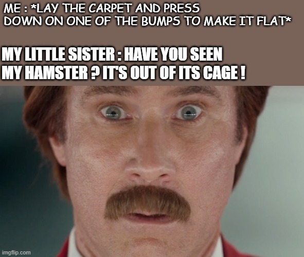(。_。) | ME : *LAY THE CARPET AND PRESS DOWN ON ONE OF THE BUMPS TO MAKE IT FLAT*; MY LITTLE SISTER : HAVE YOU SEEN MY HAMSTER ? IT'S OUT OF ITS CAGE ! | image tagged in will ferrell oh shit | made w/ Imgflip meme maker