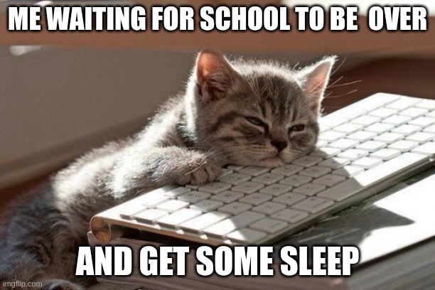 School Memes | ME WAITING FOR SCHOOL TO BE  OVER; AND GET SOME SLEEP | image tagged in sleepy kitten,funny,memes,school,school memes,tired | made w/ Imgflip meme maker