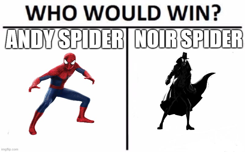 andy all the way | ANDY SPIDER; NOIR SPIDER | image tagged in memes,who would win | made w/ Imgflip meme maker
