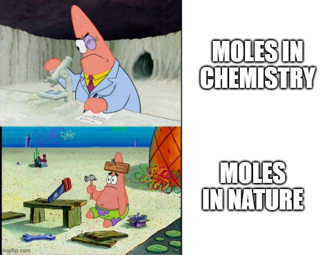 Mole number | MOLES IN CHEMISTRY; MOLES IN NATURE | image tagged in smart patrick vs dumb patrick | made w/ Imgflip meme maker