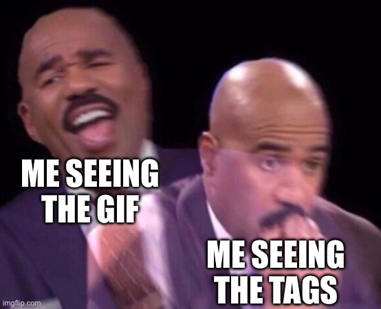 Steve Harvey Laughing Serious | ME SEEING THE GIF ME SEEING THE TAGS | image tagged in steve harvey laughing serious | made w/ Imgflip meme maker
