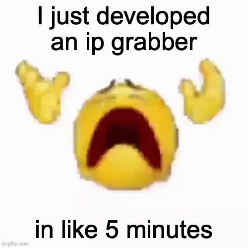 it's not that hard y'all (no link because I don't trust myself) | I just developed an ip grabber; in like 5 minutes | image tagged in noo,new tags menu btw | made w/ Imgflip meme maker