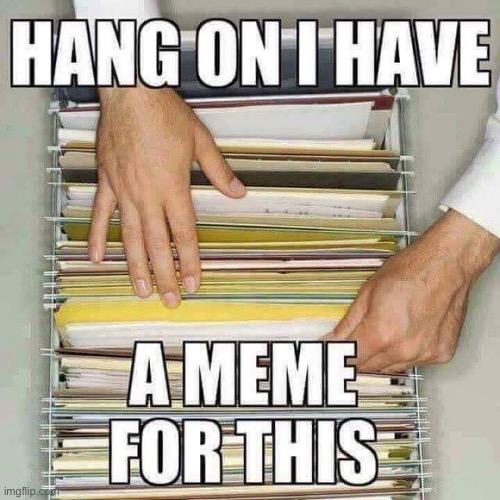 hang on I have a meme for this | image tagged in hang on i have a meme for this | made w/ Imgflip meme maker