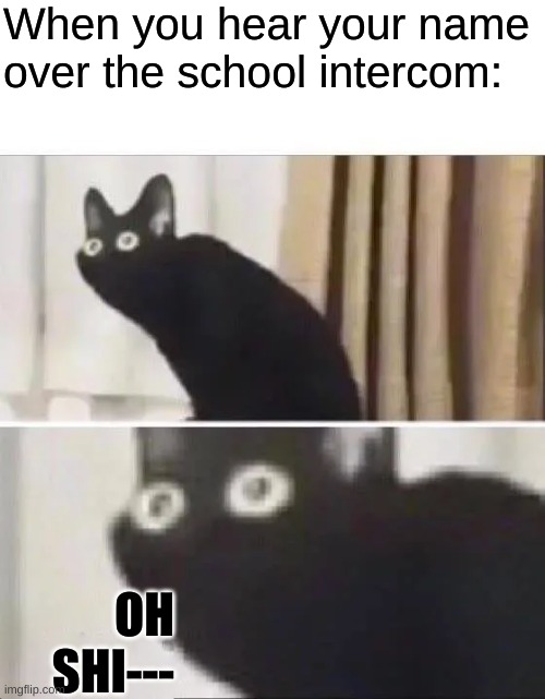 Oh No Black Cat | When you hear your name over the school intercom:; OH SHI--- | image tagged in oh no black cat | made w/ Imgflip meme maker