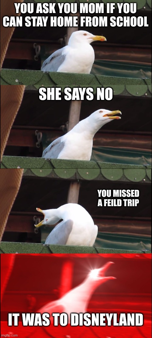 Inhaling Seagull Meme | YOU ASK YOU MOM IF YOU CAN STAY HOME FROM SCHOOL; SHE SAYS NO; YOU MISSED A FEILD TRIP; IT WAS TO DISNEYLAND | image tagged in memes,inhaling seagull | made w/ Imgflip meme maker