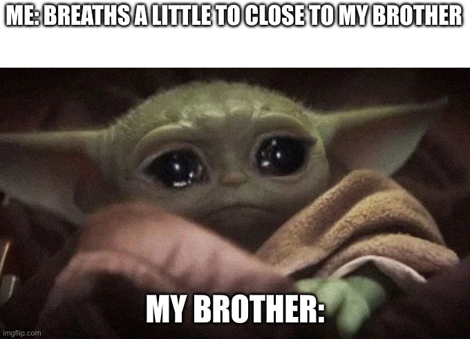 Crying Baby Yoda | ME: BREATHS A LITTLE TO CLOSE TO MY BROTHER; MY BROTHER: | image tagged in crying baby yoda | made w/ Imgflip meme maker