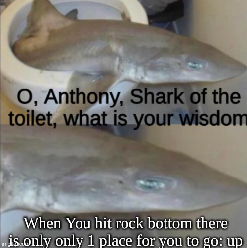 Anthony, Shark of the Toilet | When You hit rock bottom there is only only 1 place for you to go: up | image tagged in anthony shark of the toilet | made w/ Imgflip meme maker