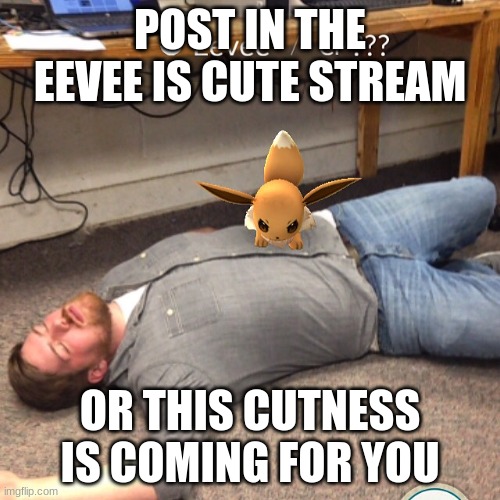 Angry Eevee | POST IN THE EEVEE IS CUTE STREAM; OR THIS CUTNESS IS COMING FOR YOU | image tagged in angry eevee | made w/ Imgflip meme maker