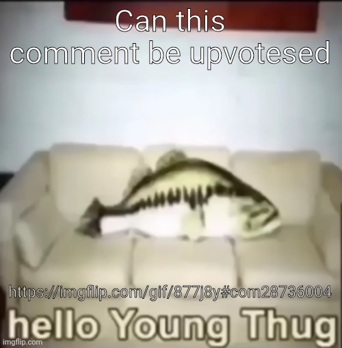 Hello Young Thug | Can this comment be upvotesed; https://imgflip.com/gif/877j8y#com28736004 | image tagged in hello young thug | made w/ Imgflip meme maker