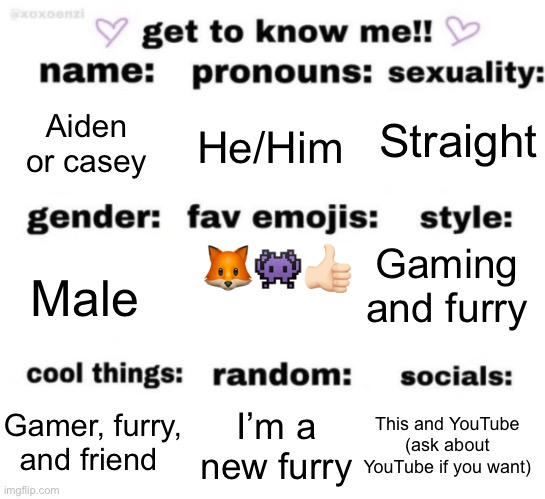 get to know me but better | Straight; Aiden or casey; He/Him; 🦊👾👍🏻; Gaming and furry; Male; This and YouTube (ask about YouTube if you want); I’m a new furry; Gamer, furry, and friend | image tagged in get to know me but better | made w/ Imgflip meme maker