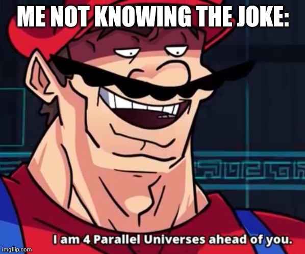 I Am 4 Parallel Universes Ahead Of You | ME NOT KNOWING THE JOKE: | image tagged in i am 4 parallel universes ahead of you | made w/ Imgflip meme maker