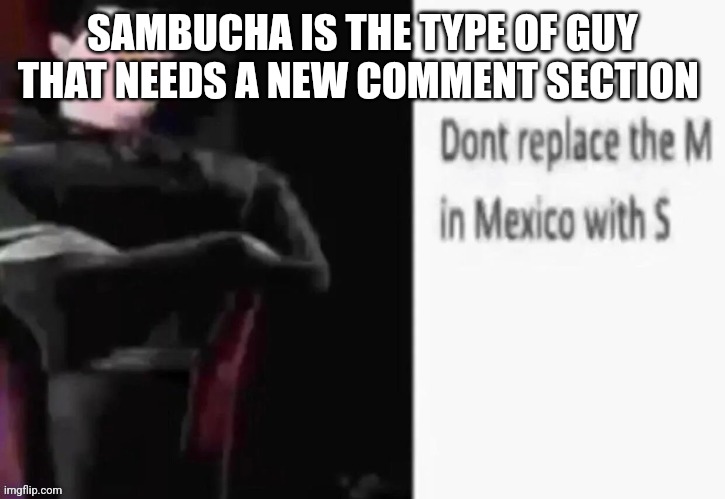 Dont replace the M in Mexico with S | SAMBUCHA IS THE TYPE OF GUY THAT NEEDS A NEW COMMENT SECTION | image tagged in dont replace the m in mexico with s | made w/ Imgflip meme maker