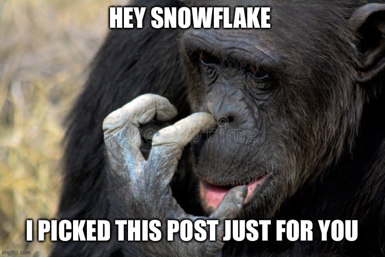 Picked you a winner | HEY SNOWFLAKE; I PICKED THIS POST JUST FOR YOU | image tagged in snowflake,booger | made w/ Imgflip meme maker