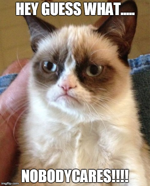 Grumpy Cat Meme | HEY GUESS WHAT..... NOBODYCARES!!!! | image tagged in memes,grumpy cat | made w/ Imgflip meme maker