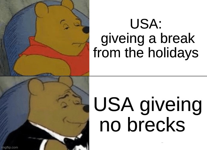 Tuxedo Winnie The Pooh | USA: 
giveing a break from the holidays; USA giveing no brecks | image tagged in memes,tuxedo winnie the pooh | made w/ Imgflip meme maker