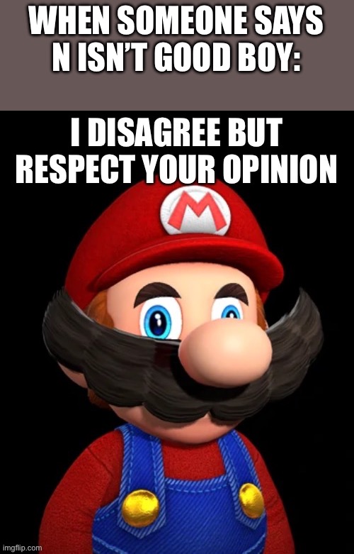 I want to kill you tho. | WHEN SOMEONE SAYS
N ISN’T GOOD BOY: | image tagged in i disagree but respect your opinion | made w/ Imgflip meme maker