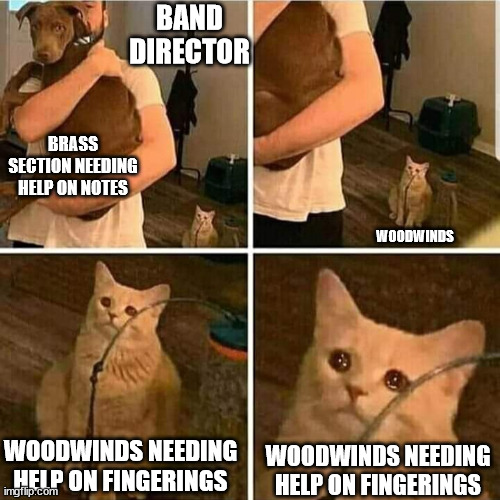 Maybe not all bands, but definitely my band. | BAND DIRECTOR; BRASS SECTION NEEDING HELP ON NOTES; WOODWINDS; WOODWINDS NEEDING HELP ON FINGERINGS; WOODWINDS NEEDING HELP ON FINGERINGS | image tagged in sad cat holding dog | made w/ Imgflip meme maker