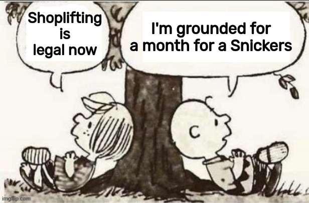 Teach your Children | I'm grounded for a month for a Snickers; Shoplifting is legal now | image tagged in charlie brown and peppermint patty,respect,responsibility,compassion,community | made w/ Imgflip meme maker