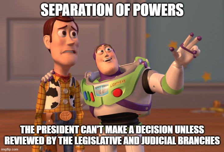 X, X Everywhere | SEPARATION OF POWERS; THE PRESIDENT CAN'T MAKE A DECISION UNLESS REVIEWED BY THE LEGISLATIVE AND JUDICIAL BRANCHES | image tagged in memes,x x everywhere | made w/ Imgflip meme maker
