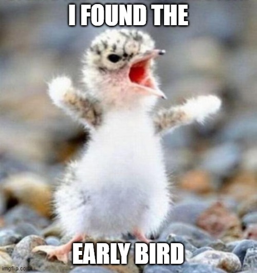 Early Bird!!! | I FOUND THE EARLY BIRD | image tagged in early bird | made w/ Imgflip meme maker