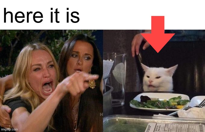 Woman Yelling At Cat Meme | here it is | image tagged in memes,woman yelling at cat | made w/ Imgflip meme maker