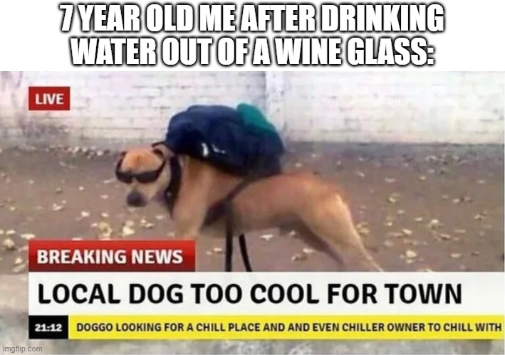 yes | 7 YEAR OLD ME AFTER DRINKING WATER OUT OF A WINE GLASS: | image tagged in local dog too cool for town | made w/ Imgflip meme maker