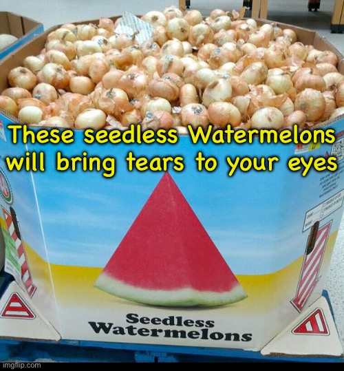 Tears to your eyes | These seedless Watermelons will bring tears to your eyes | image tagged in tears,to your eyes,seedless watermelons,you had one job | made w/ Imgflip meme maker