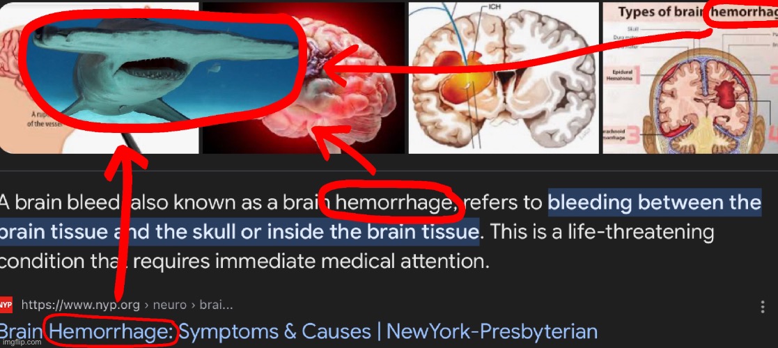 Mildésmallington hammerhead | made w/ Imgflip meme maker