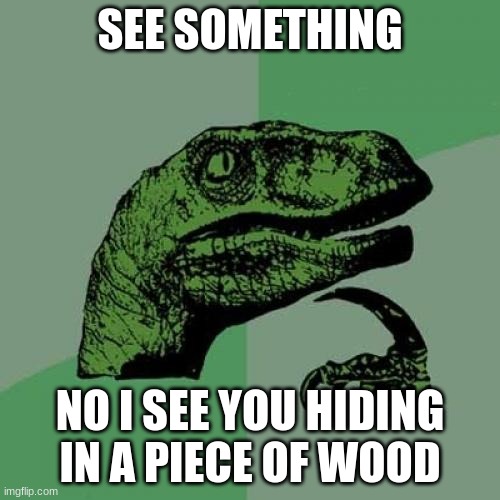 Philosoraptor | SEE SOMETHING; NO I SEE YOU HIDING IN A PIECE OF WOOD | image tagged in memes,philosoraptor | made w/ Imgflip meme maker